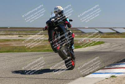 media/Mar-24-2025-2WTD (Mon) [[55b4b08488]]/A Group/12pm (Wheelie Bump)/